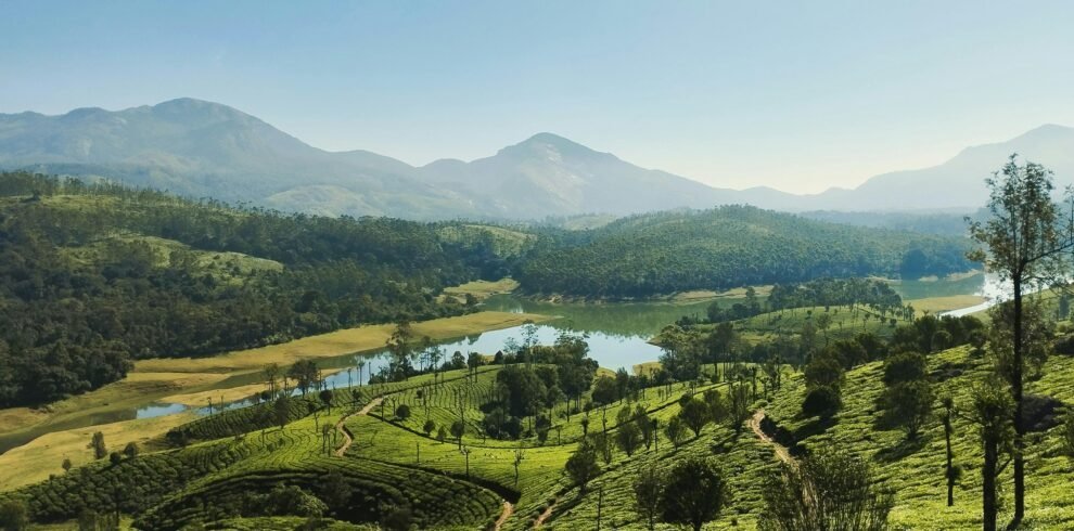 Munnar tea gardens and peaceful backwaters in Kerala