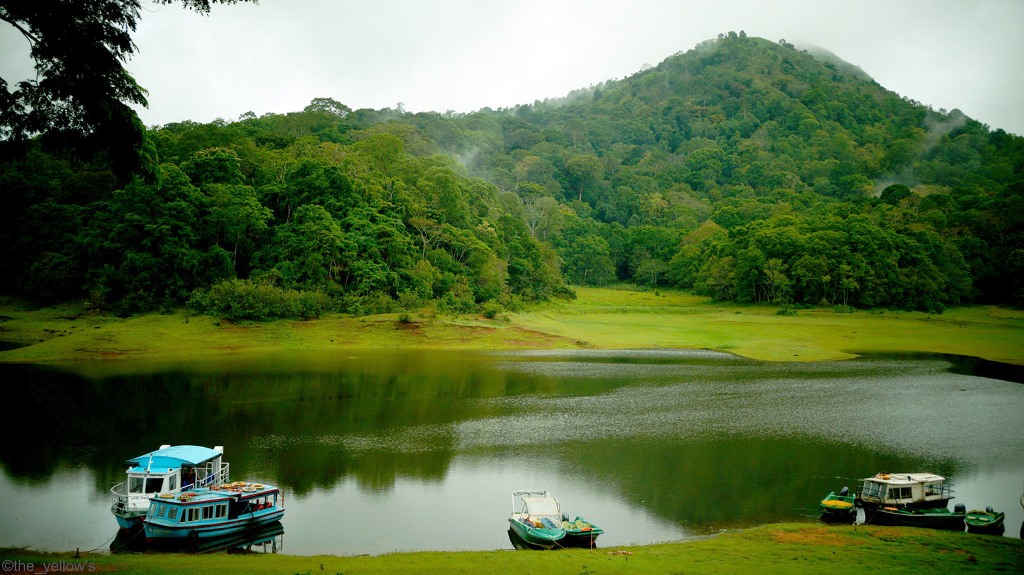 Munnar Tea Gardens